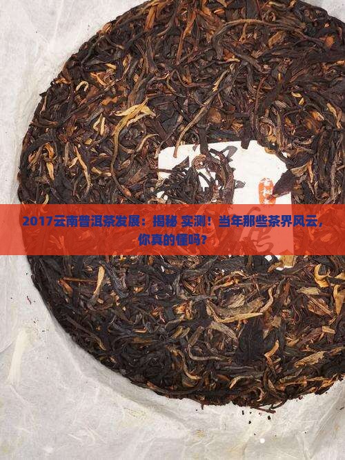 2017云南省普洱茶发展
