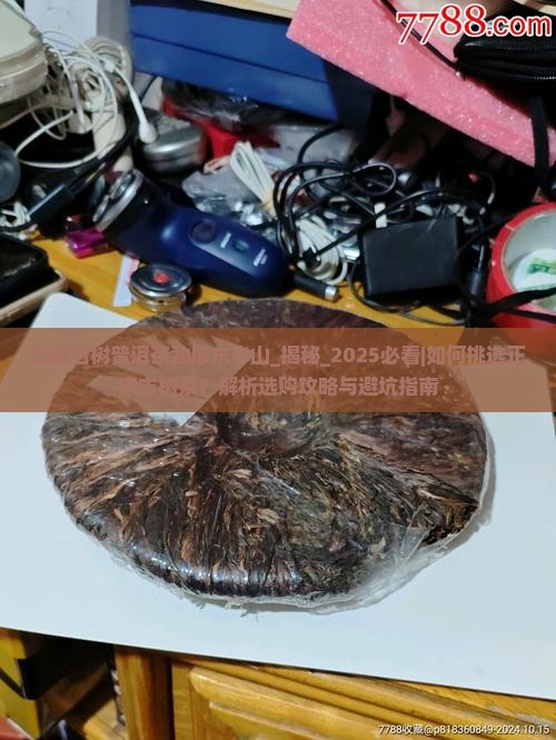 勐傣古树普洱茶勐库东半山