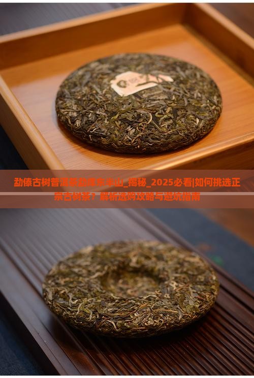 勐傣古树普洱茶勐库东半山