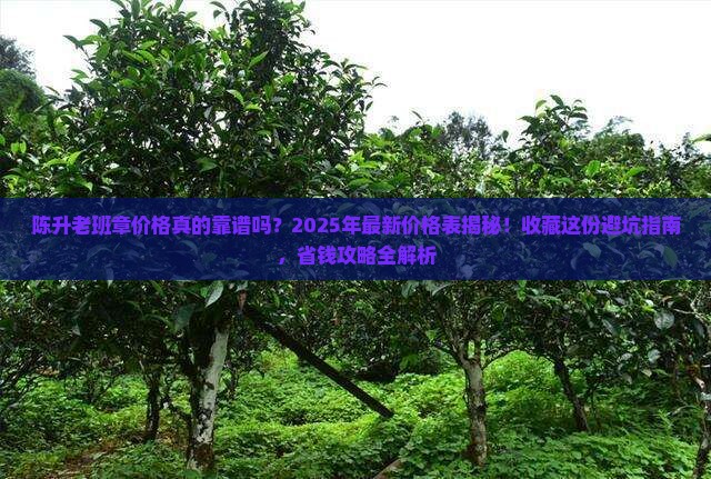 陈升老班章价格表