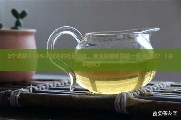 普洱茶能喝菊花一起泡茶吗
