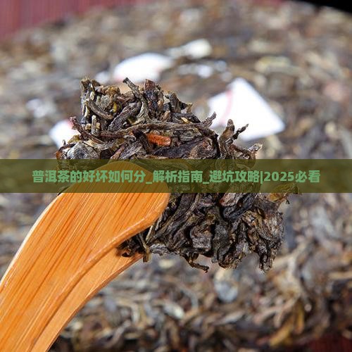 普洱茶的好坏如何分