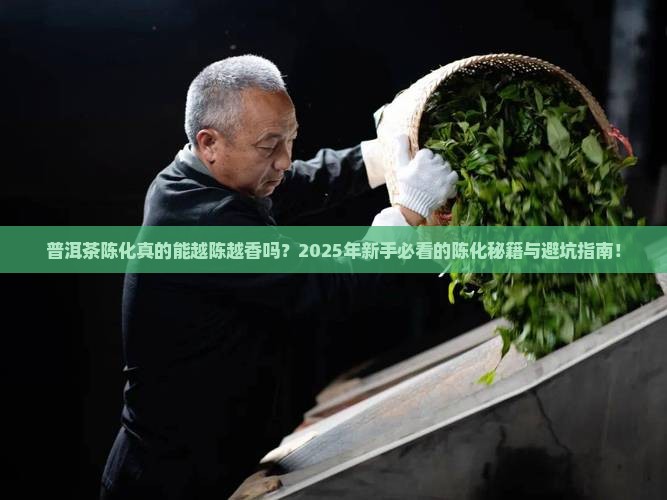 普洱茶的陈化和特点