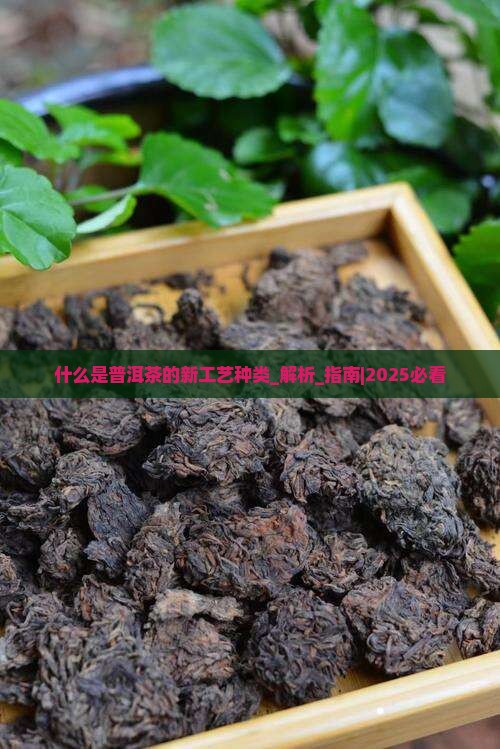什么是普洱茶的新工艺种类