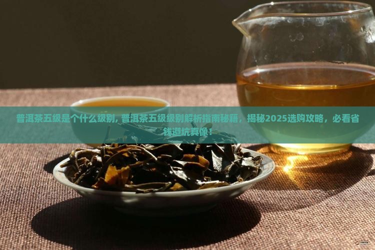普洱茶五级是个什么级别