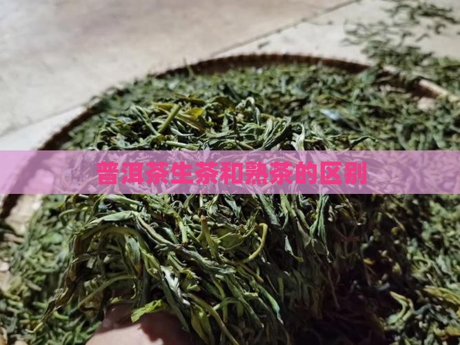 普洱茶生普和熟普如何区别