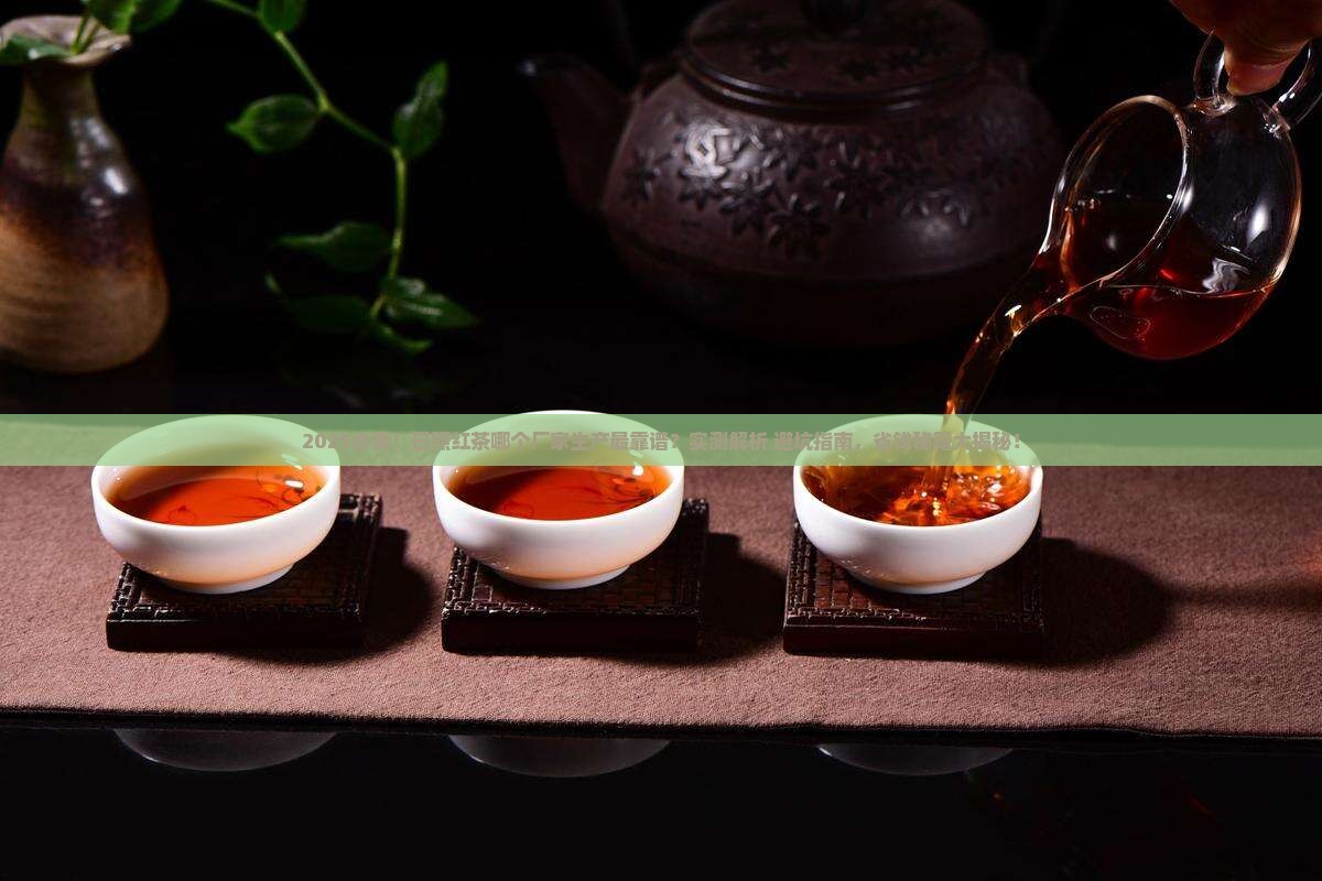 日照红茶什么厂家生产