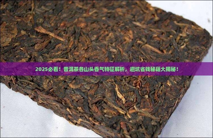 普洱茶各山头香气特征