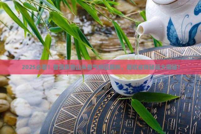 普洱茶各山头香气特征