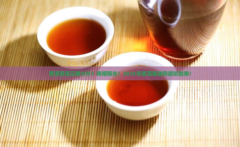 普洱茶是云南大叶