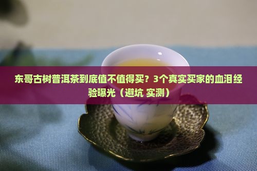 东哥古树普洱茶