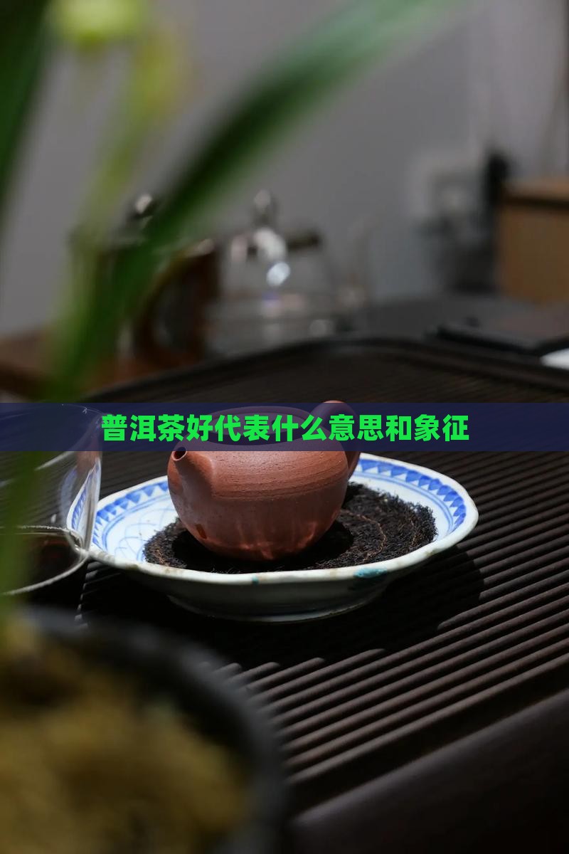普洱茶好代表什么意思