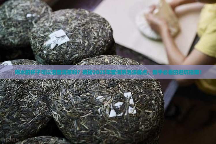 喝水的杯子可以泡普洱茶吗