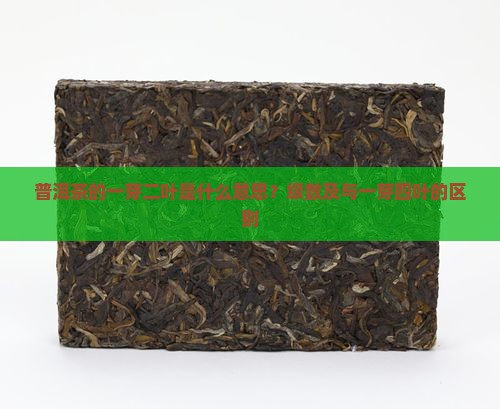 普洱茶的一芽二叶