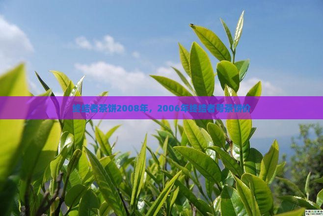 终结者茶饼2008年