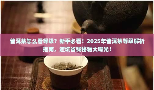普洱茶怎么看等级