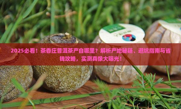 茶香庄普洱茶产自
