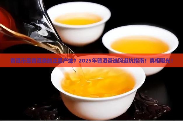 普洱市是普洱茶的正品产地