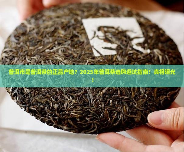 普洱市是普洱茶的正品产地