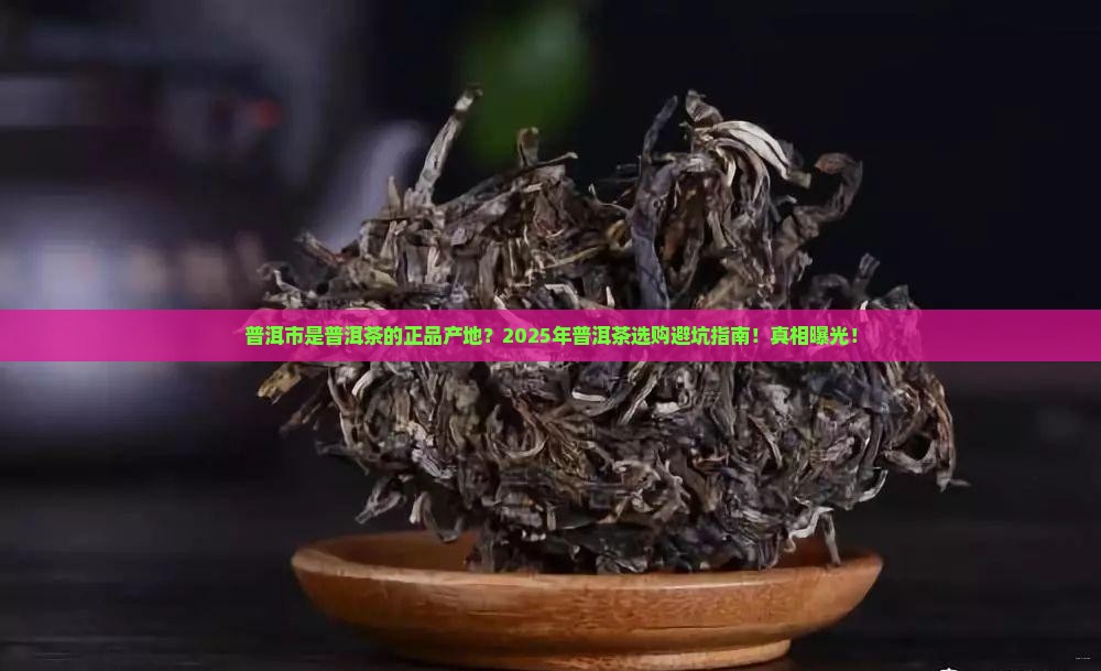 普洱市是普洱茶的正品产地