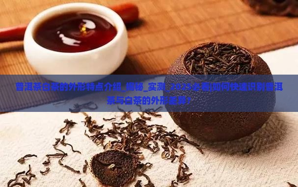 普洱茶白茶的外形特点介绍