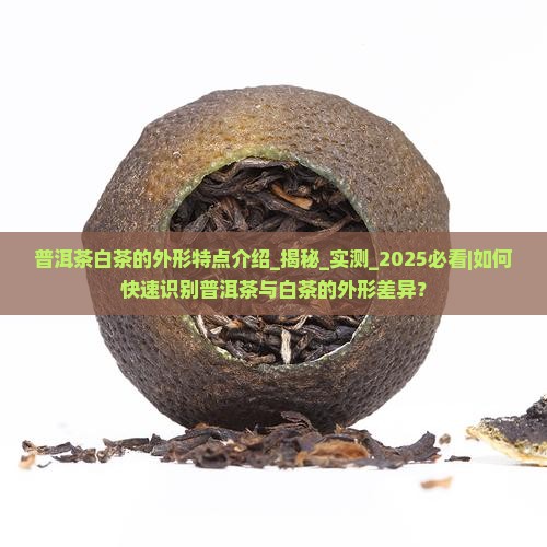 普洱茶白茶的外形特点介绍