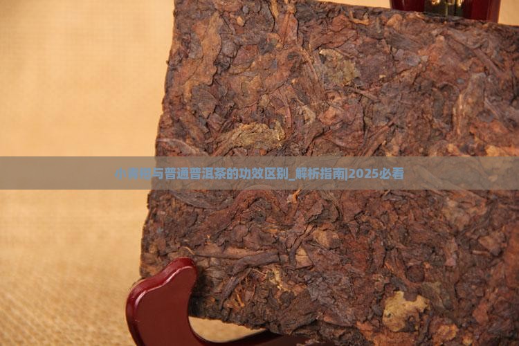 小青柑与普通普洱茶的功效区别