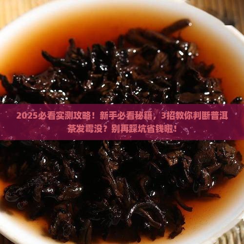 怎样判断普洱茶发霉没有