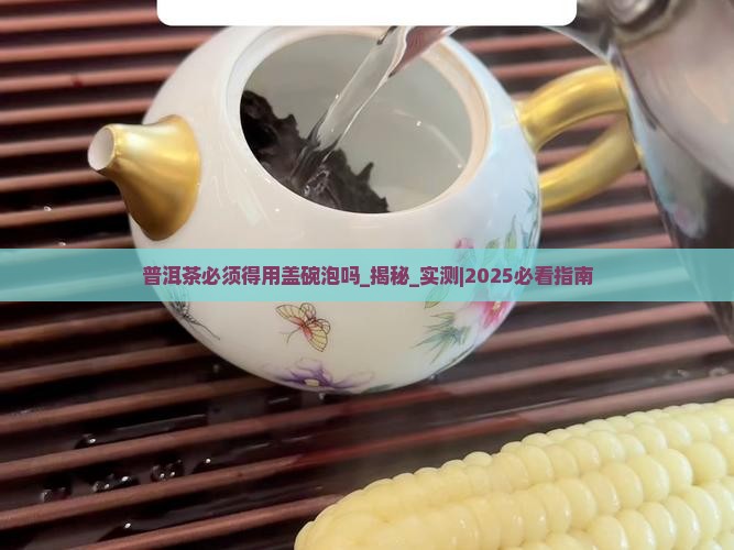 普洱茶必须得用盖碗泡吗