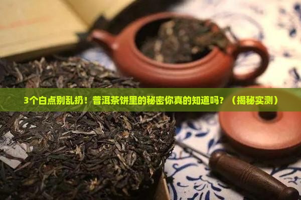 普洱茶饼里面有很多白点