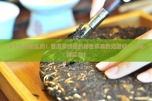 普洱茶饼里面有很多白点
