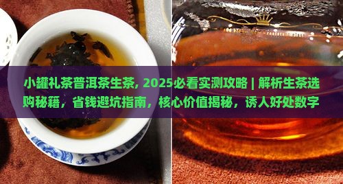 小罐礼茶普洱茶生茶