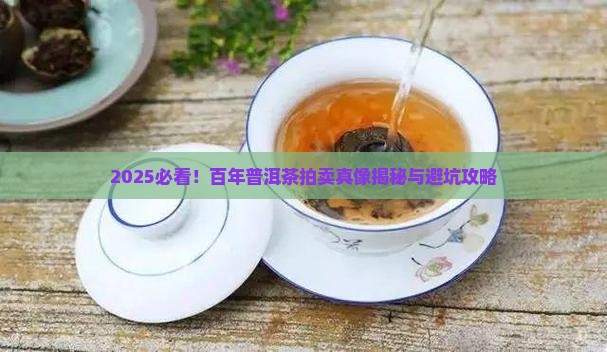 百年普洱茶拍卖