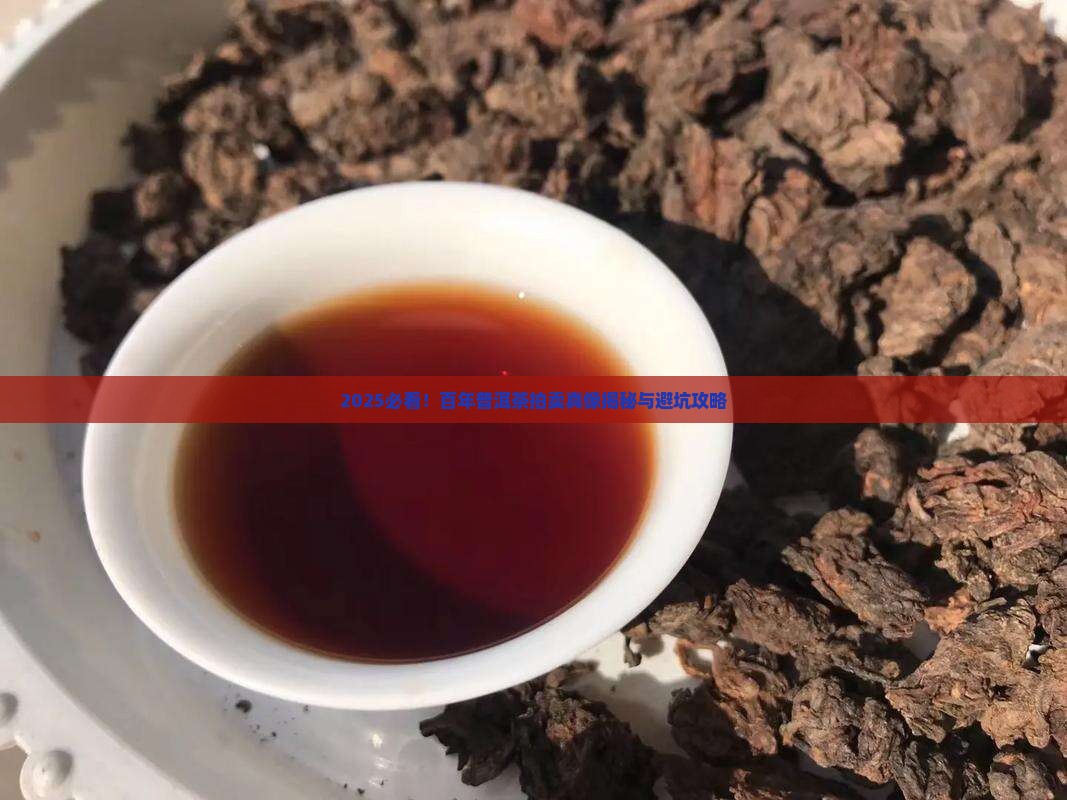 百年普洱茶拍卖