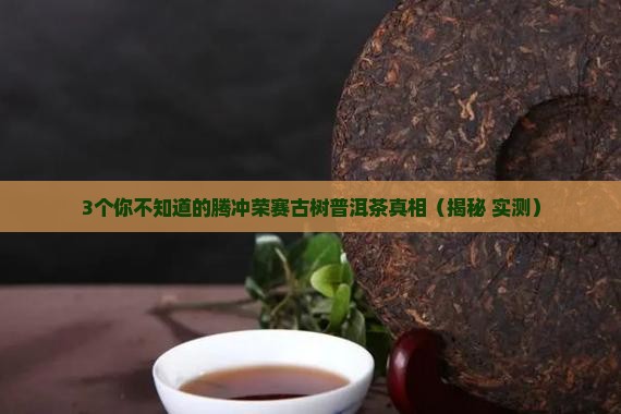 腾冲荣赛古树普洱茶