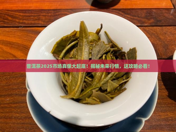 普洱茶未来市场怎么样