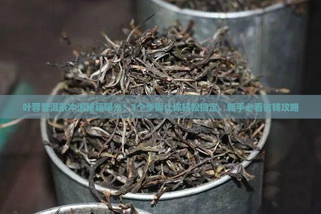 叶蓉普洱茶怎么冲泡