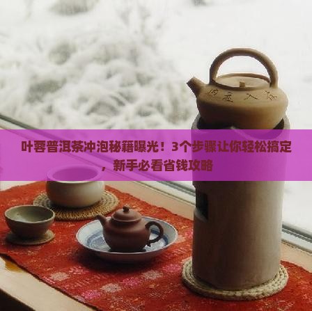 叶蓉普洱茶怎么冲泡