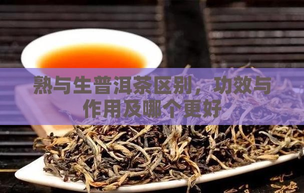 熟与生普洱茶区别