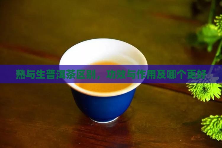 熟与生普洱茶区别