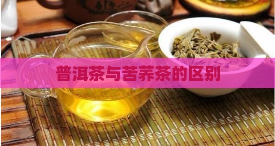 普洱茶与苦荞茶的区别
