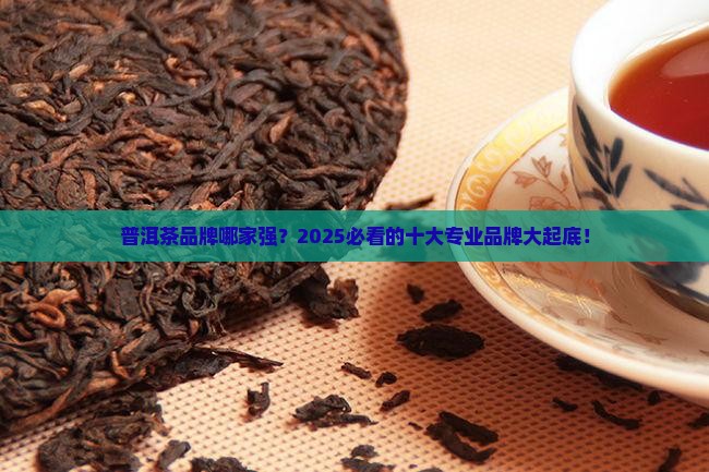 专业的普洱茶十大品牌