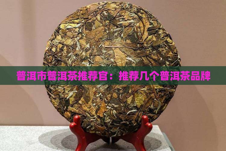 普洱市普洱茶推荐官