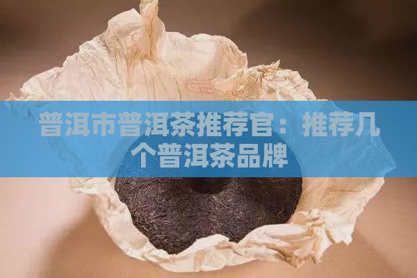 普洱市普洱茶推荐官