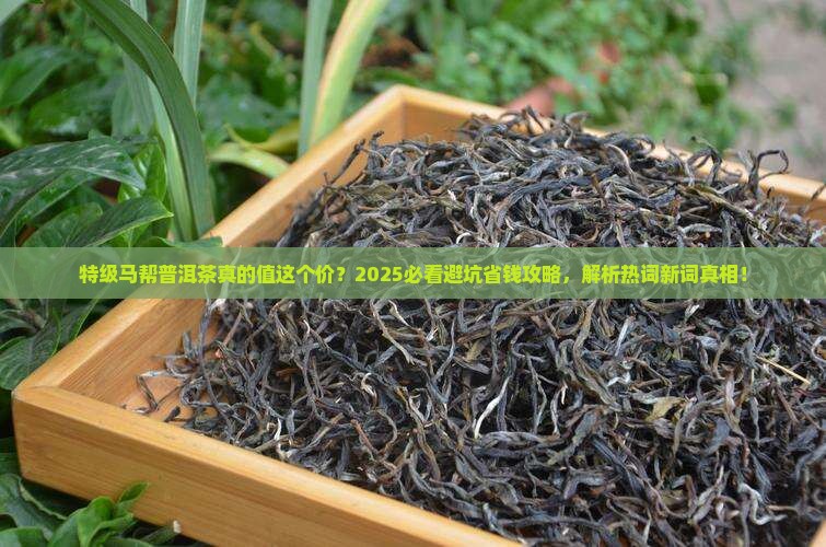 特级马帮普洱茶