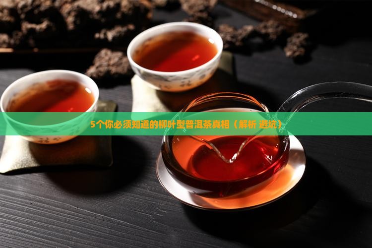 柳叶型普洱茶的特点有哪些