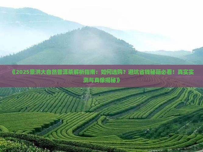 景洪大自然普洱茶
