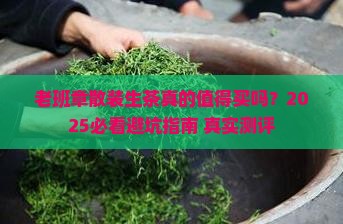 老班章散装生茶
