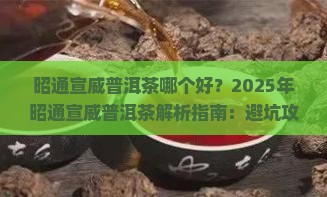 昭通宣威普洱茶哪个好