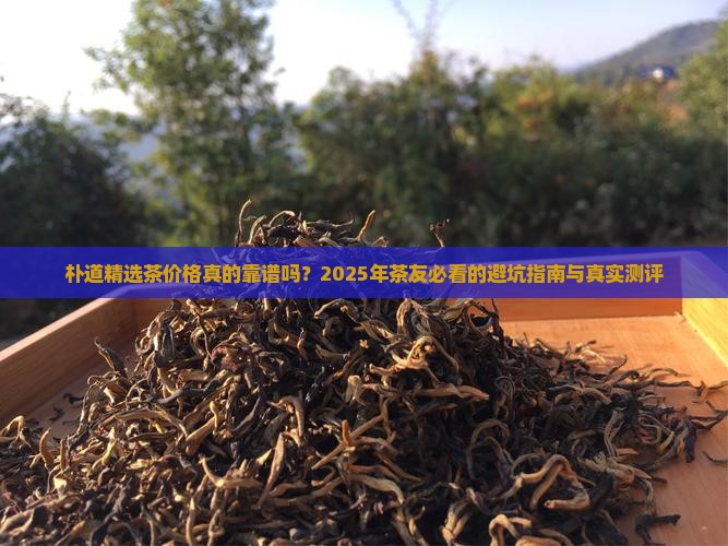 朴道精选茶价格